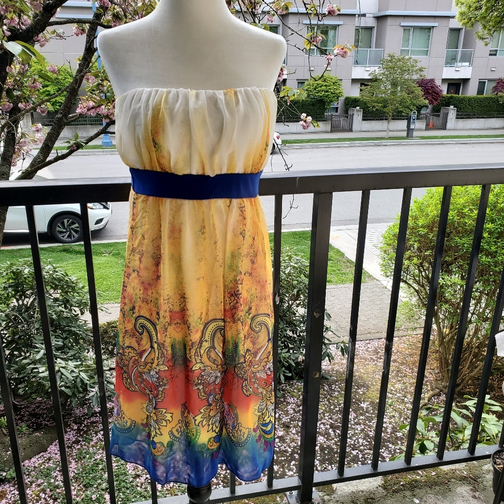 Strapless Sheer with lining Dress
